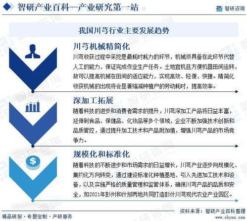 中國川芎行業(yè)發(fā)展驅(qū)動(dòng)因素與市場運(yùn)行格局分析報(bào)告